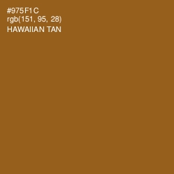 #975F1C - Hawaiian Tan Color Image